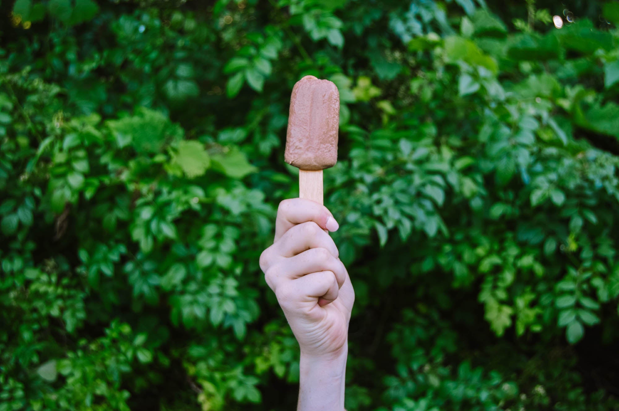 Cashew Fudgesicles – Sunshine Nut Co